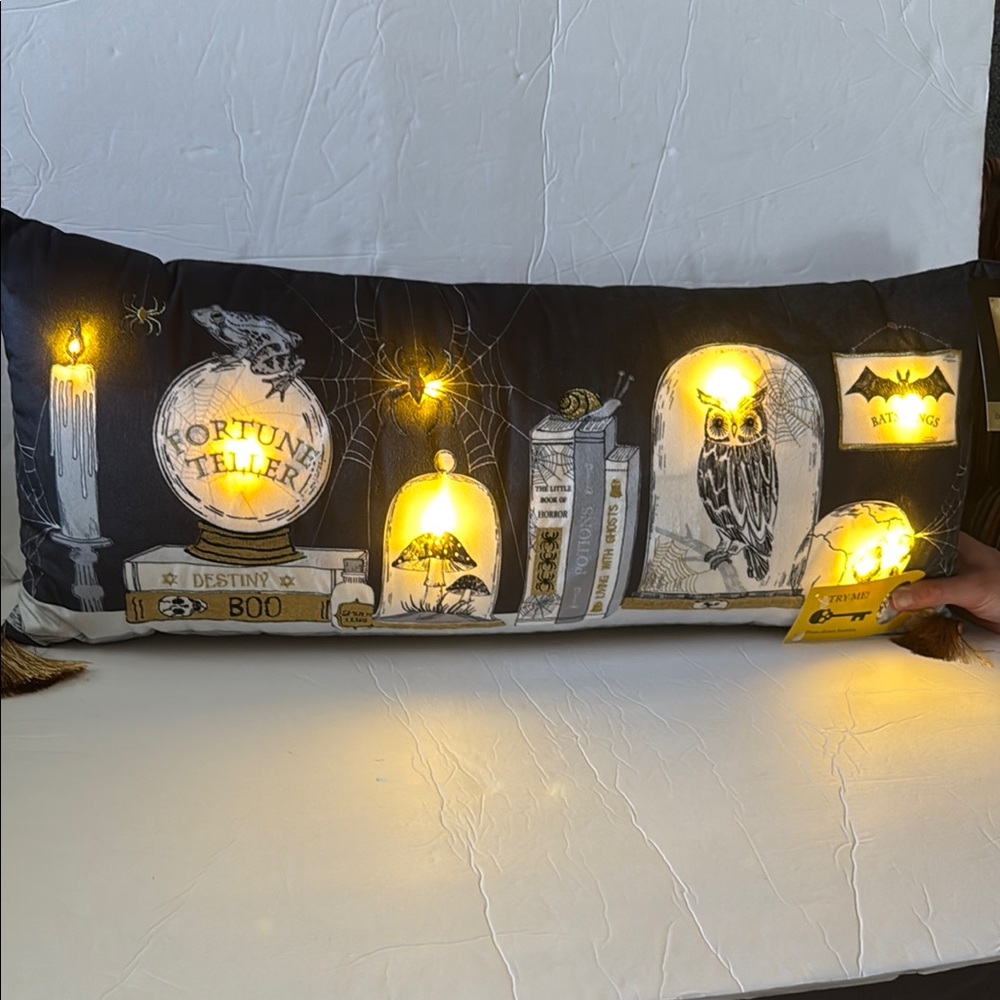 Unique Cynthia Rowley Curious Halloween Light Up Fortune Teller Skull Pillow